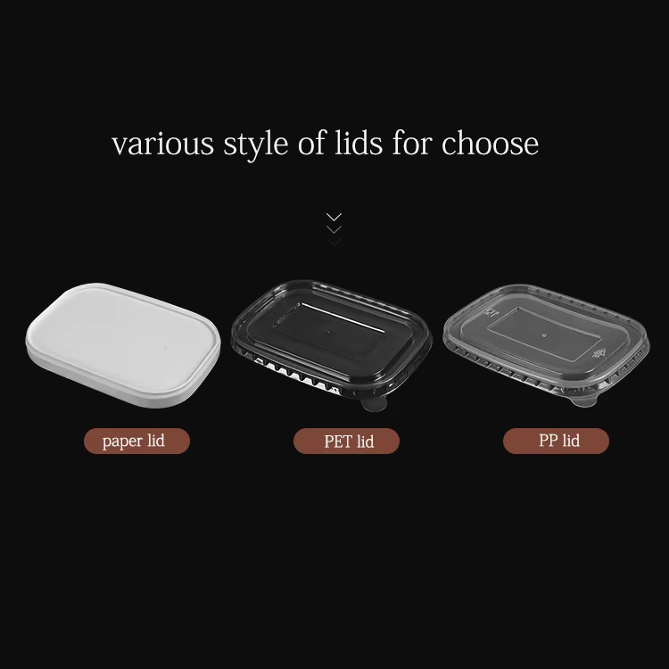 مربع الغداء القابلة للتحلل ، سلطة بينتو مربع ، وعاء مستطيل